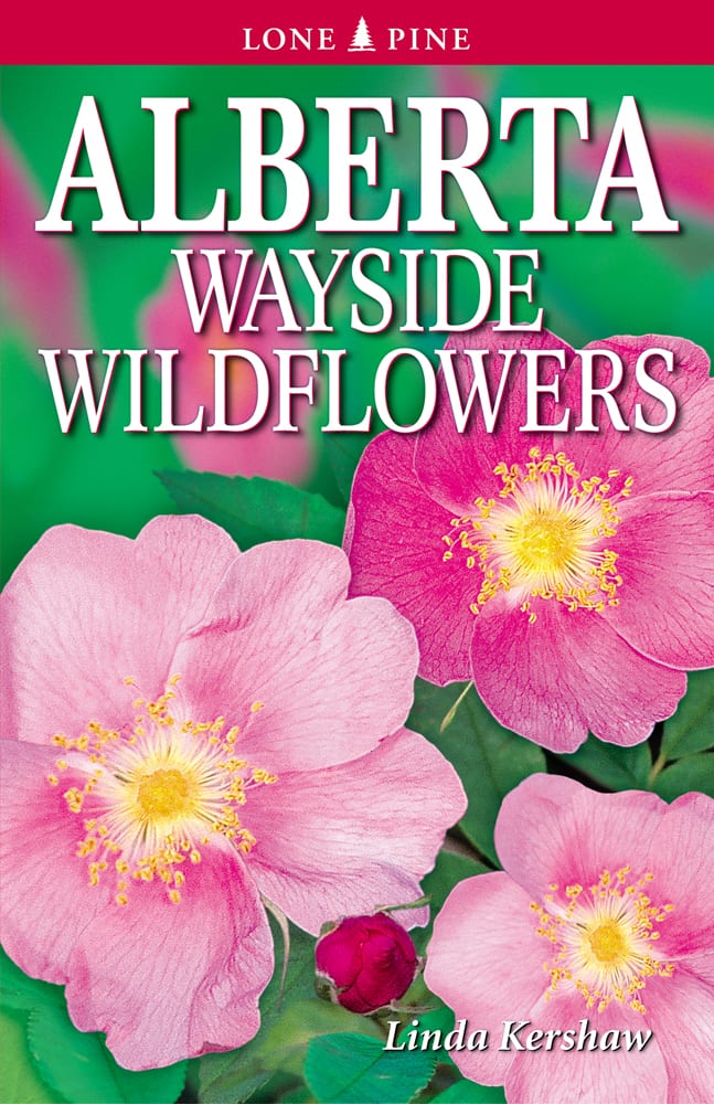 Alberta Wayside Wildflowers Canada Book Distributors