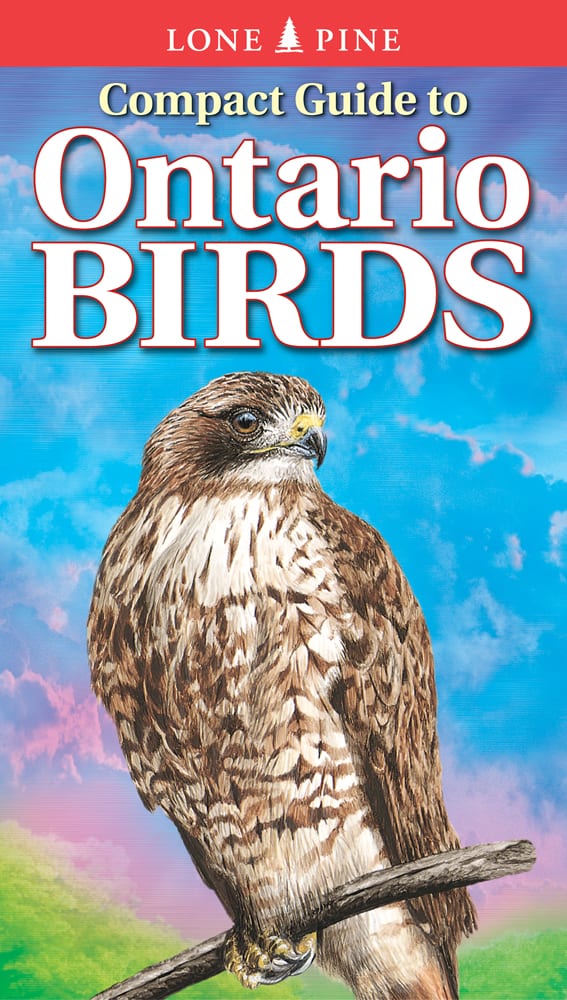 Compact Guide to Ontario Birds Canada Book Distributors