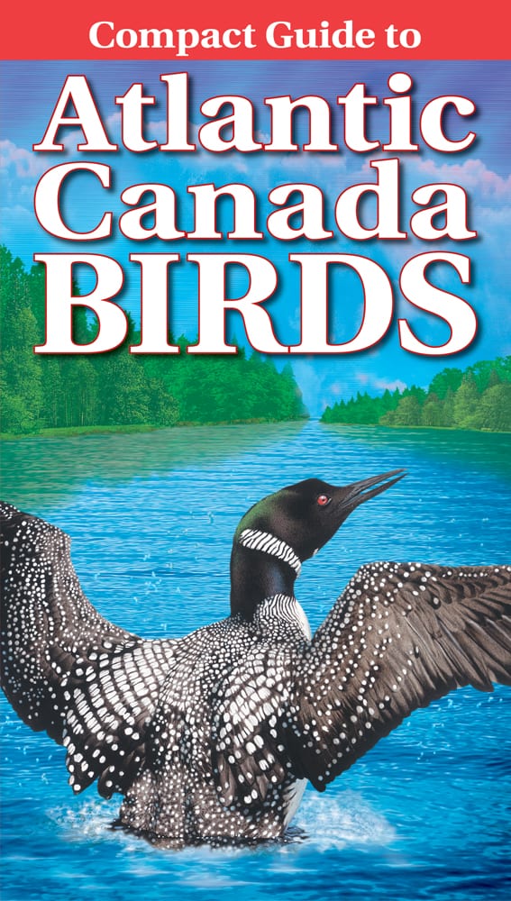 Compact Guide to Atlantic Canada Birds Canada Book Distributors