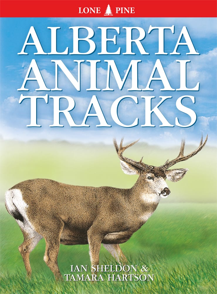 Alberta Animal Tracks – Canada Book Distributors